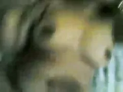 এক মহিলা ছোদা চোদি ব ...