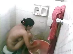 ReifeSwinger-শৃঙ্গাক ...