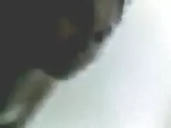 বহু পুরুষের এক বাংলা ...