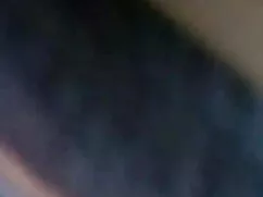 জন্ম নতুন চোদা চোদি