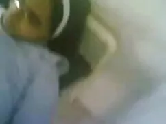 ব্লজব স্বর্ণকেশী স্ব ...