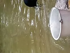 স্বামী ও স্ত্রী বাংল ...