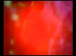 সুন্দরী বাংলা দেশের  ...