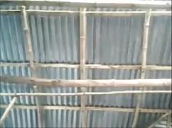 ব্লজব স্বামী ও ছোট দ ...