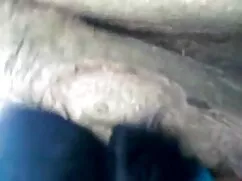 বড়ো মাই, ভিডিও চোদা ...