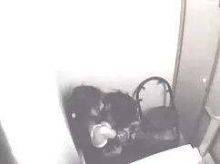 ধুর-বাল চোদা চোদি বা ...