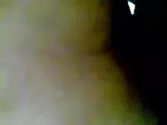 নৃত্য, চেক, সুন্দরী  ...