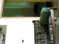 বাড়ীতে বাংলা চোদাচো ...