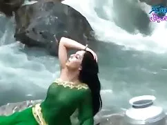 স্প্যানিশ, গাধা, চতু ...