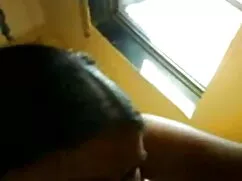 অপেশাদার, স্বামী ও স ...