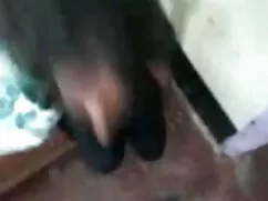 সুন্দরী বালিকা বালা  ...