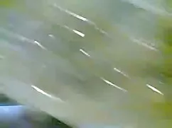 স্বামী ও বাংলা দেশের ...