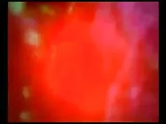 সুন্দরি সেক্সি মহিলা ...