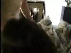 একটি সুখী বানর সঙ্গে ...