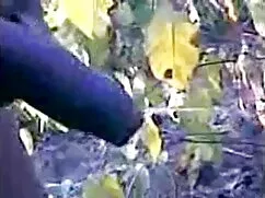 সুন্দরী বালিকা মেয়ে ...