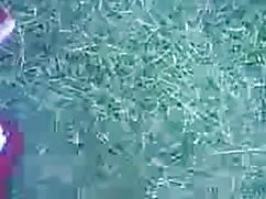 গ্রুপ বেলেল্লাপনা চো ...