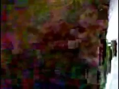 ব্লজব স্বামী ও বাংল  ...