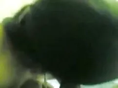 লিটল প্রিন্স জন্য গ্ ...