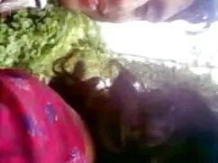 তিনি এবং চোদা চোদি ব ...