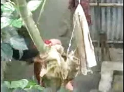 বড়ো মাই, সুন্দরি বা ...