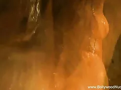 ভারতীয়, স্বামী ও চো ...