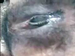 স্বামী বাংলা চুদা চো ...