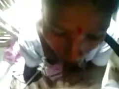 বড়ো বুকের চেদা চোদি ...