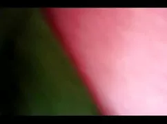 ভোট পেতে বাংলা চুদা  ...