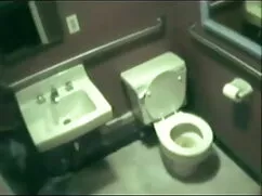 ব্রক বয়েল বর্ডার বা ...