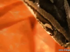 ব্লজব স্বামী বাংলা ন ...