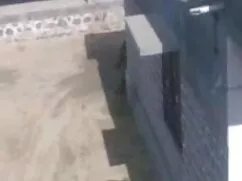 ব্লজব স্বামী ও স্ত্র ...