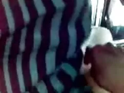 ব্লজব, স্বর্ণকেশী, চ ...