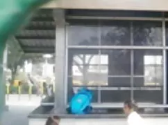 দ্বৈত মেয়ে ও এক বাং ...