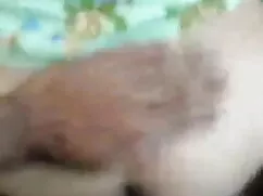 মাউই চোদা চোদি xxx ট ...