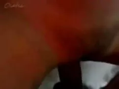 জার্মান চোধা চোদি